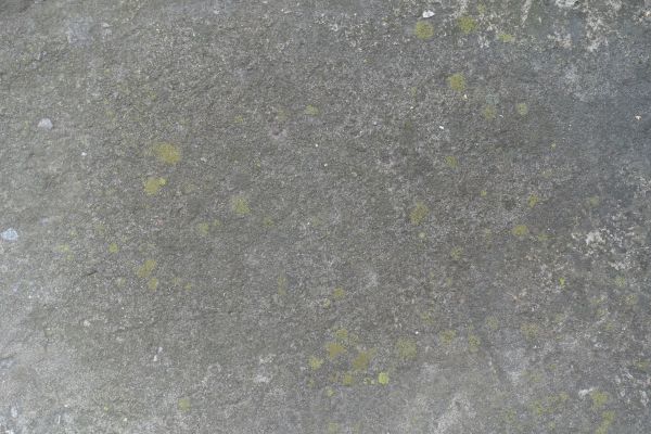 Cost of Slab Staining Service in Louisville